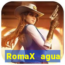 RomaX agua sanitaria fispq agua sanitaria romax