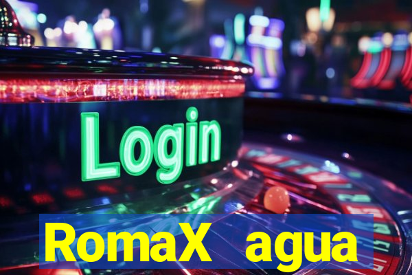 RomaX agua sanitaria fispq agua sanitaria romax