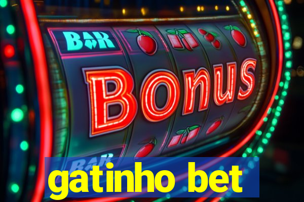 gatinho bet