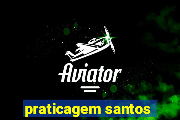 praticagem santos