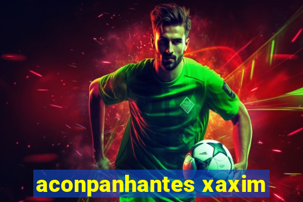 aconpanhantes xaxim