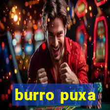 burro puxa
