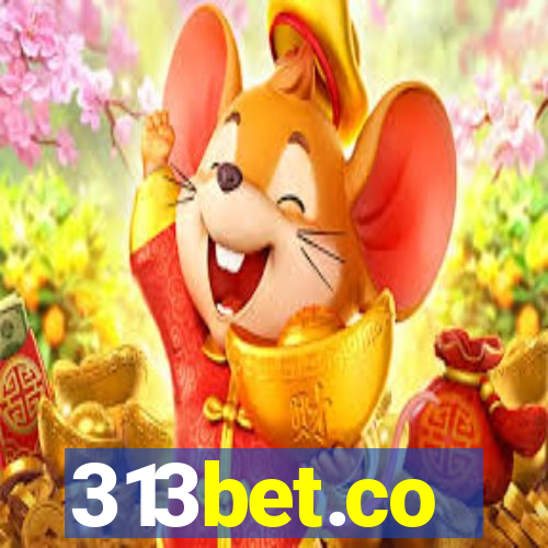 313bet.co
