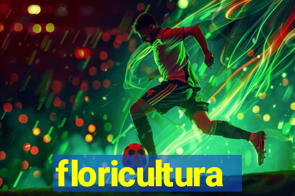 floricultura juazeiro bahia