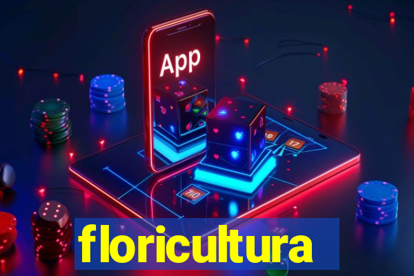 floricultura juazeiro bahia