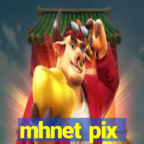 mhnet pix
