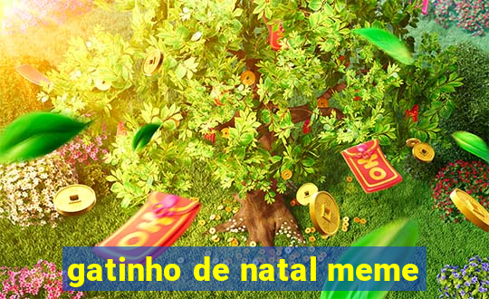 gatinho de natal meme