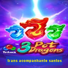 trans acompanhante santos