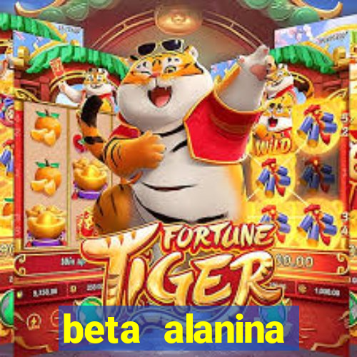 beta alanina aumenta a pressao