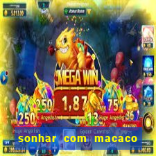 sonhar com macaco o que significa
