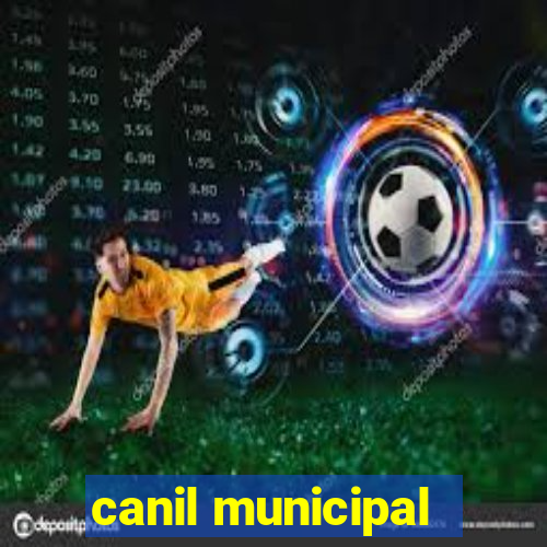 canil municipal