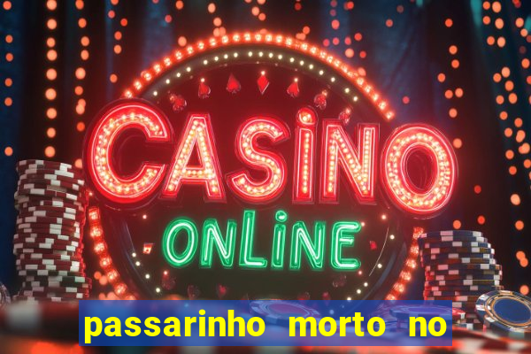 passarinho morto no quintal significado espiritual