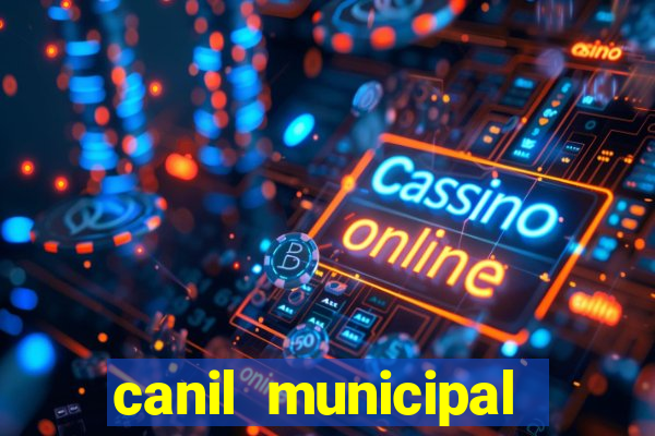 canil municipal porto alegre