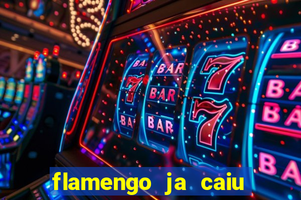 flamengo ja caiu para serie b