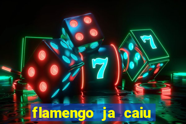 flamengo ja caiu para serie b