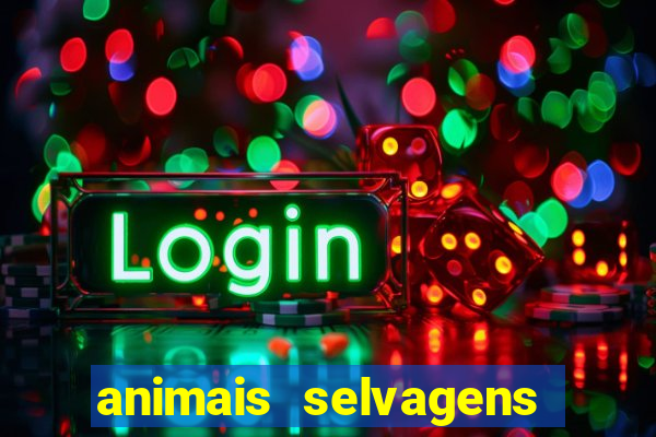 animais selvagens fotos e nomes