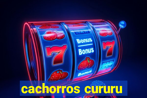 cachorros cururu