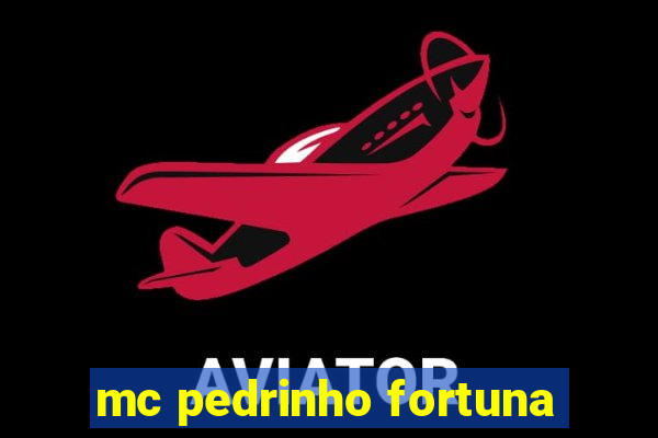 mc pedrinho fortuna