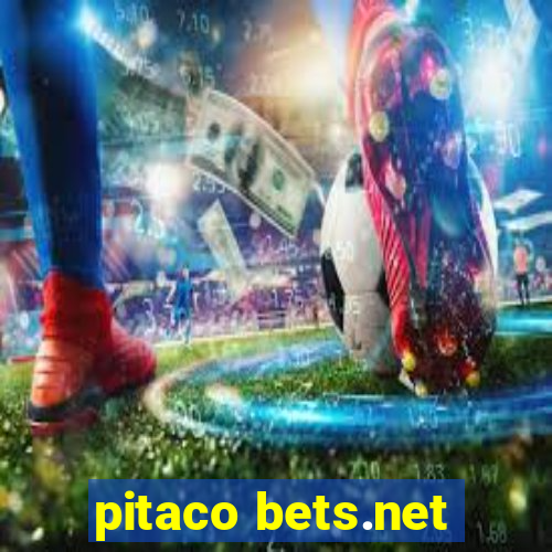 pitaco bets.net