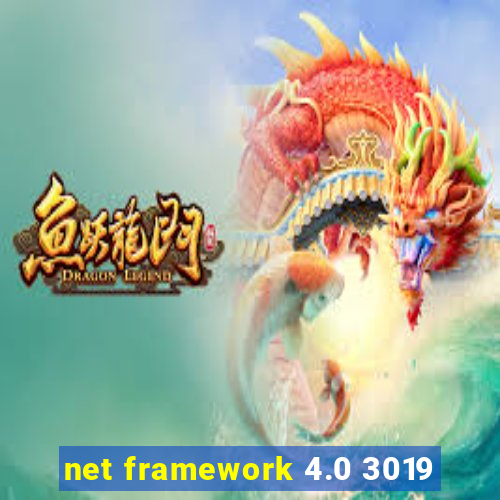 net framework 4.0 3019