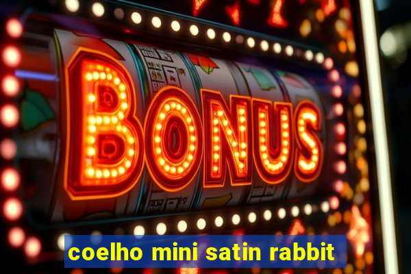 coelho mini satin rabbit
