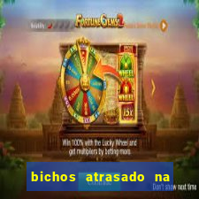 bichos atrasado na loteria dos sonhos