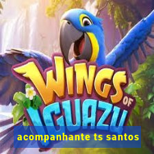 acompanhante ts santos