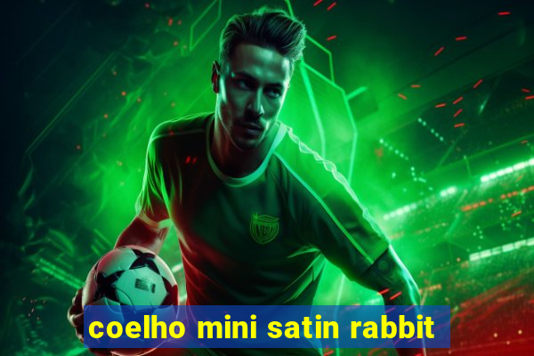 coelho mini satin rabbit