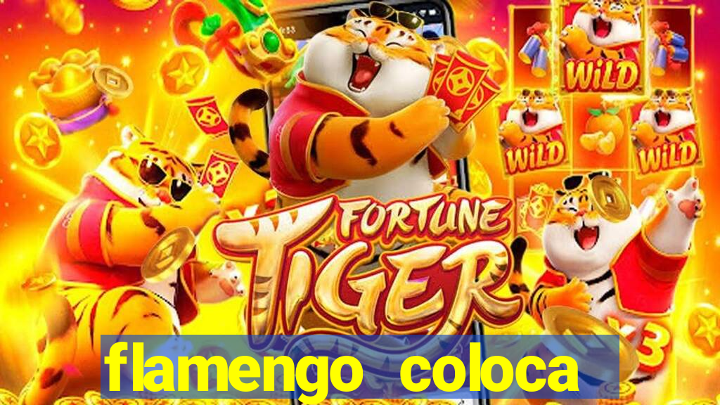 flamengo coloca ingresso a 5 reais