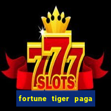 fortune tiger paga de madrugada