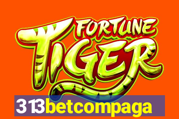 313betcompaga