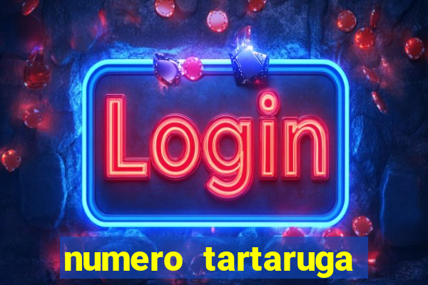 numero tartaruga jogo do bicho