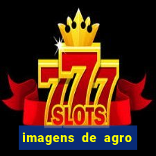 imagens de agro racoes guarani